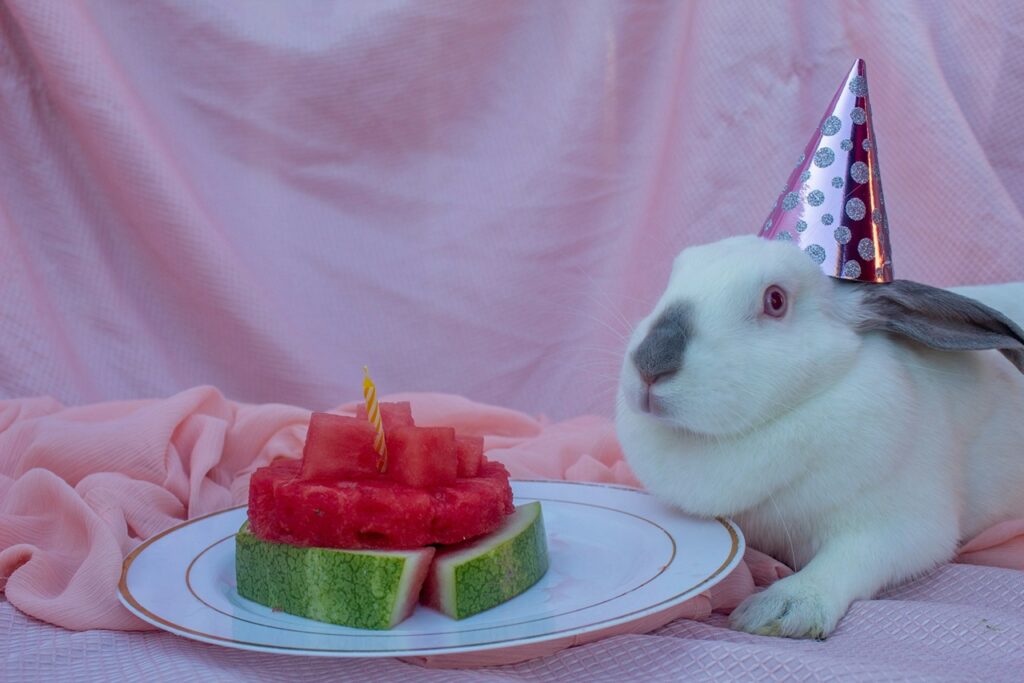 Rabbit Eating