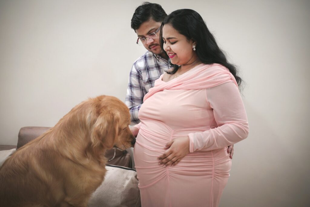 Dog with pregnant lady