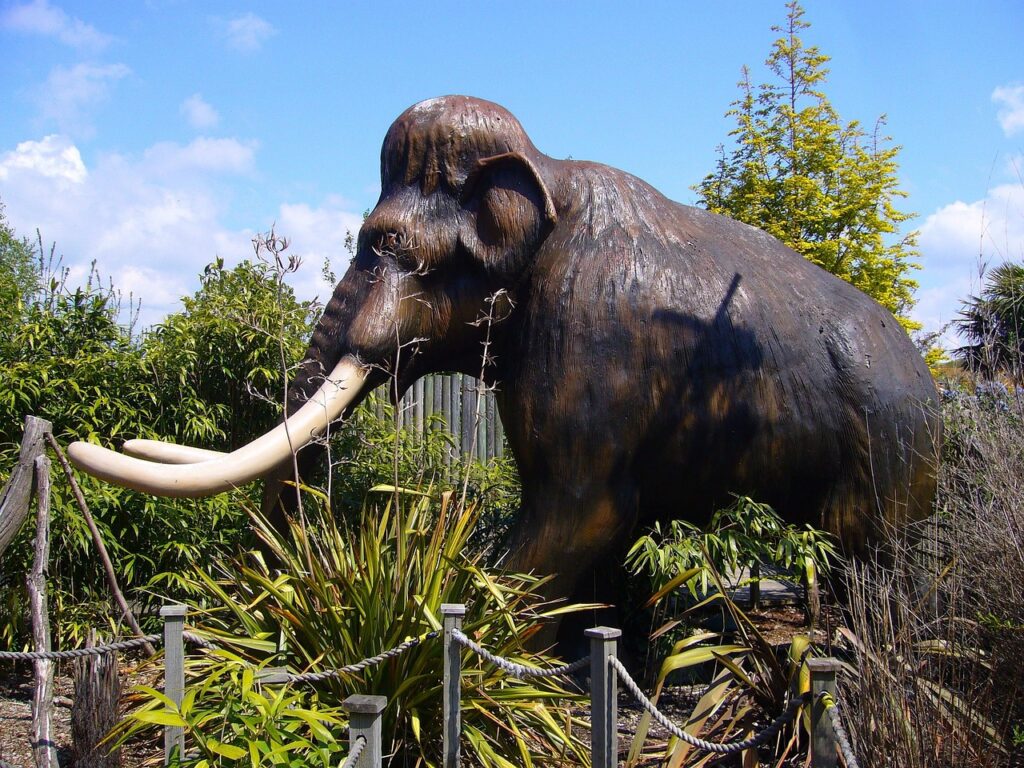Woolly Mammoth