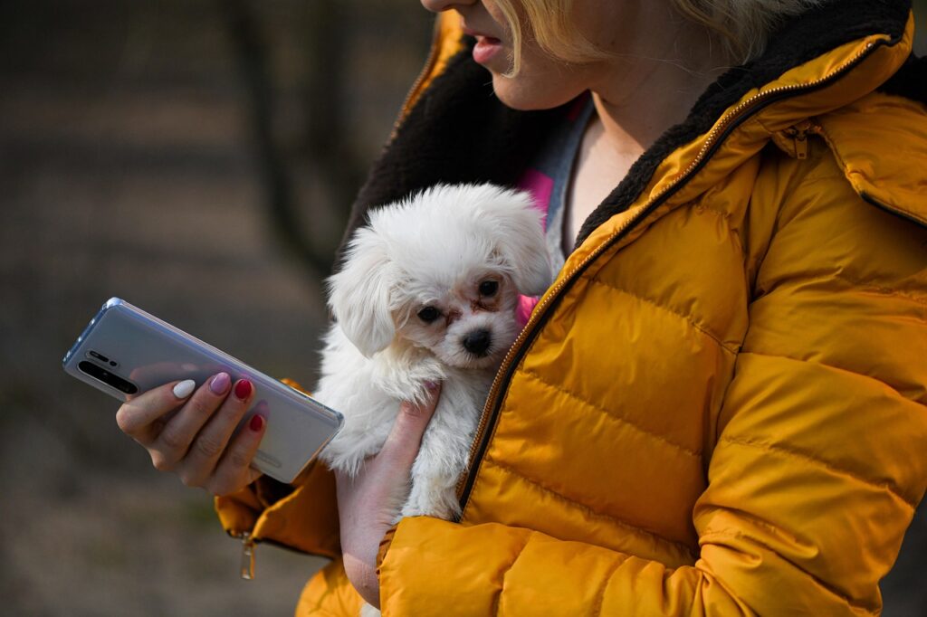 Woman with dog using a mobile