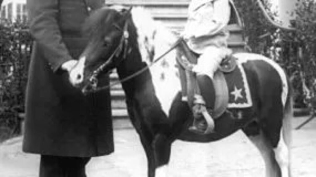 Algoquin, One of Roosevelt's pet