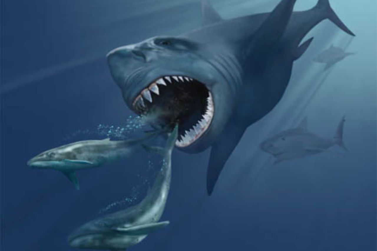 megalodon