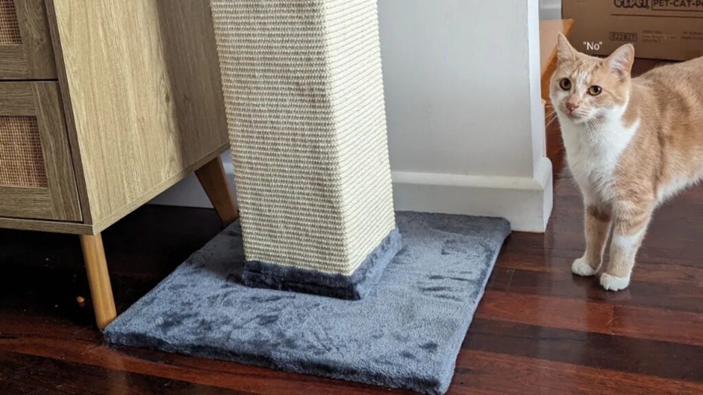 Cat Scratch Post Corner