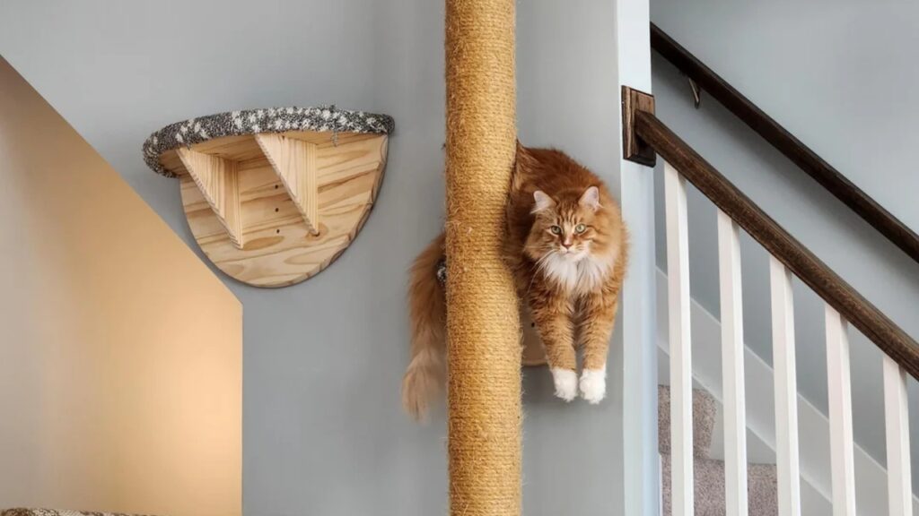Cat Wall-Mount Scratch Post