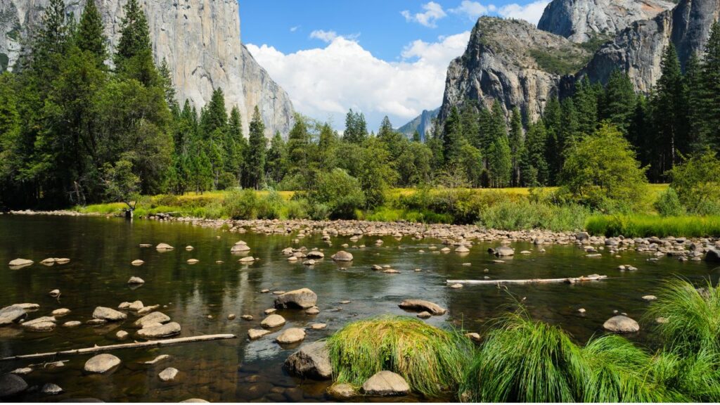 The Merced River flowing through Yosemite Valley