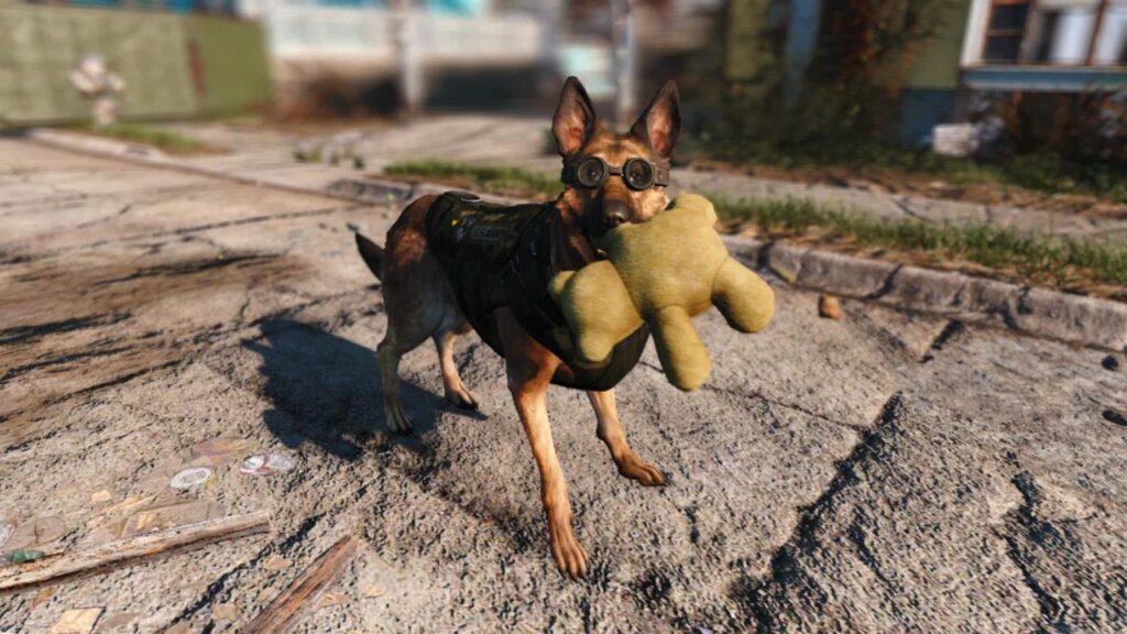 Dogmeat - Fallout Series