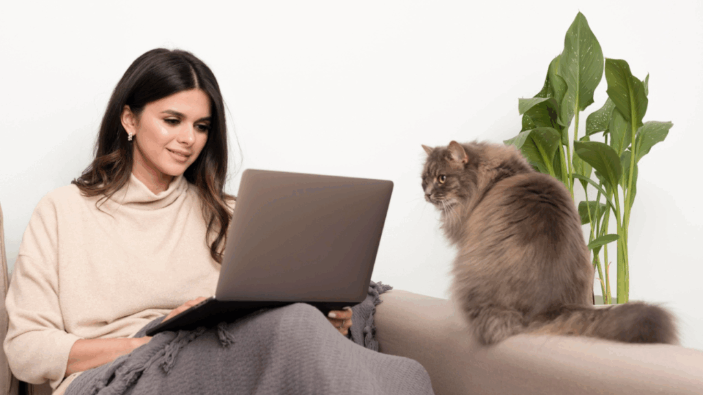 Cat seeking attention