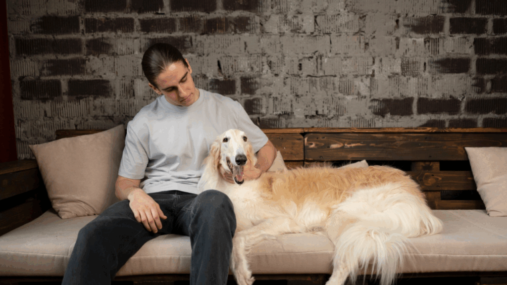 Pet with owner