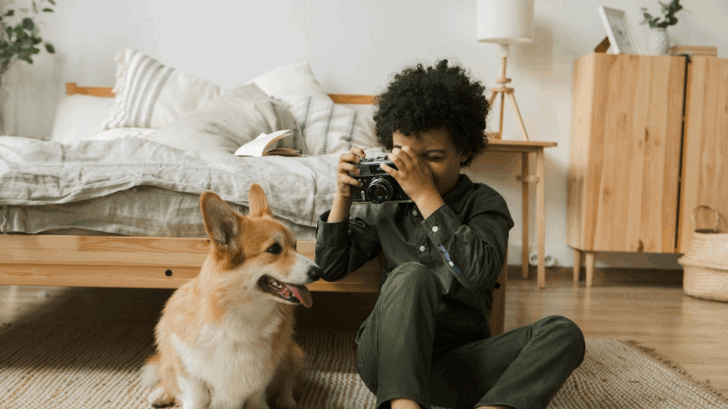 Pembroke Welsh Corgi