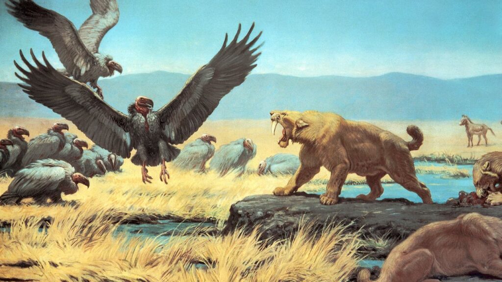 Teratornis