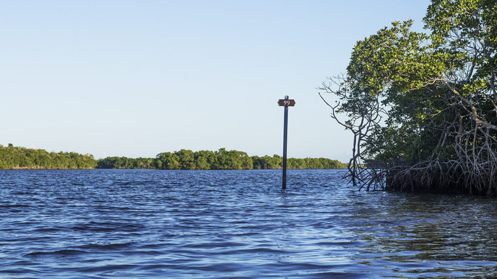 Everglades Wilderness Waterways