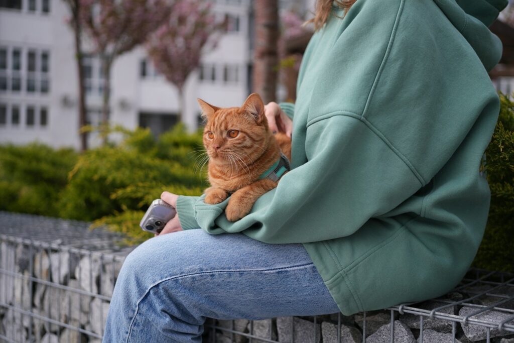 Cat with owner