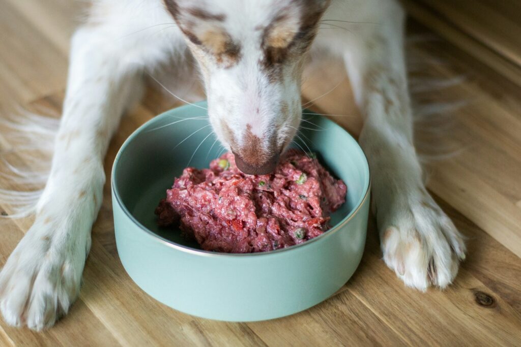 Dog Raw Food