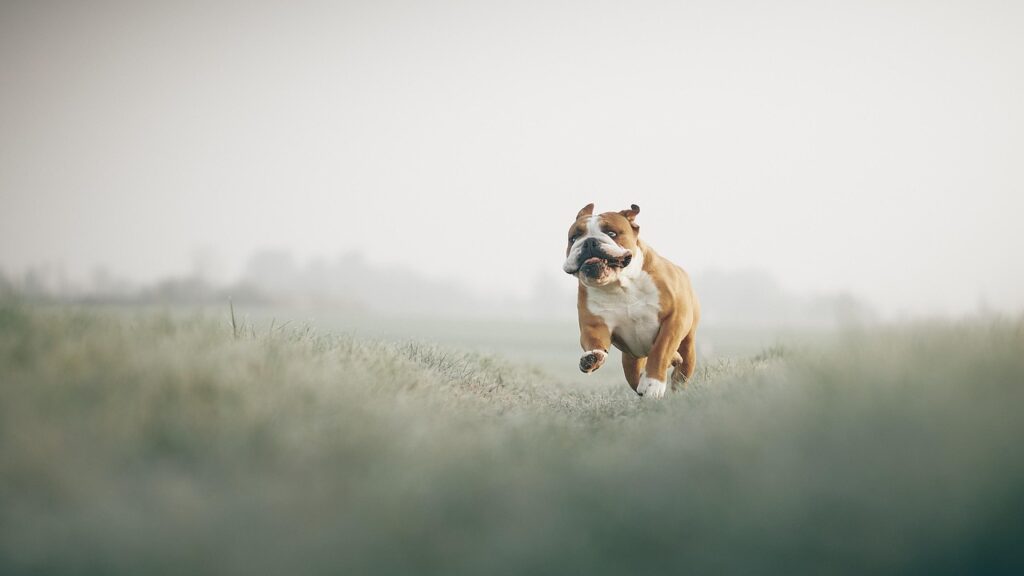 Playing in Eternal Fields