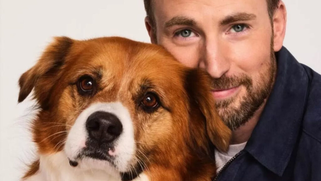 Chris Evans and Dodger