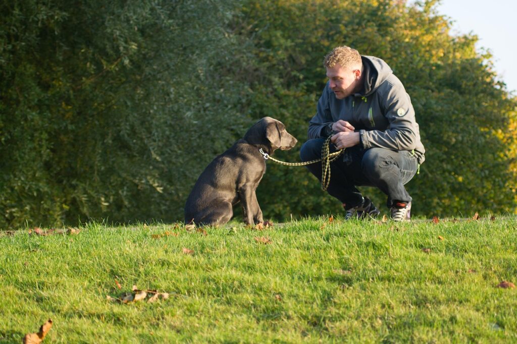 Owner looking concerned while holding leash