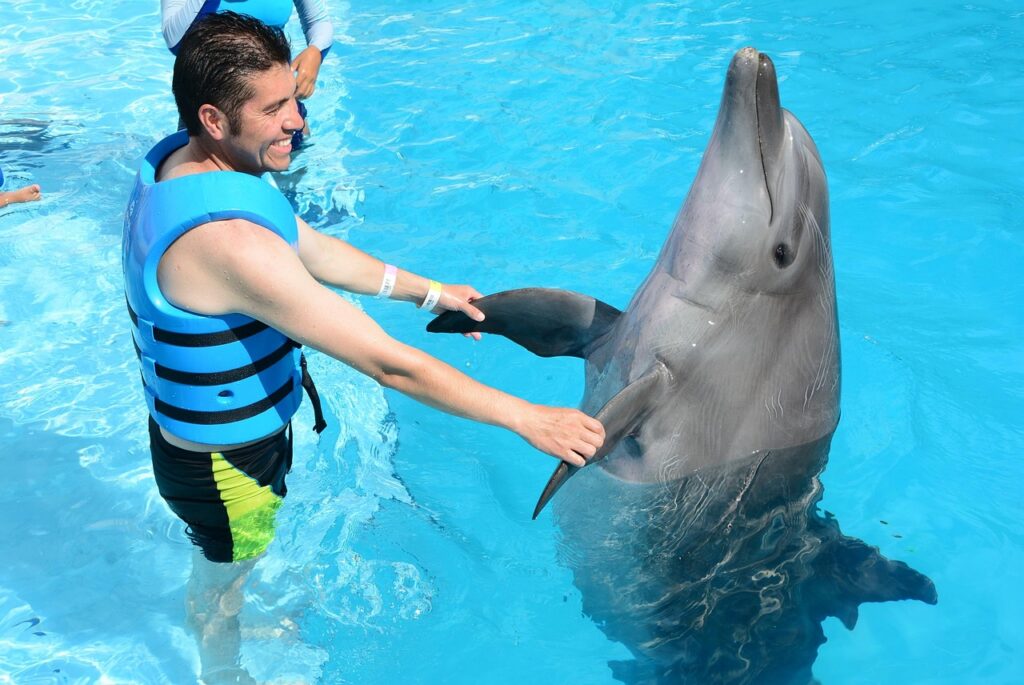 Dolphin with man