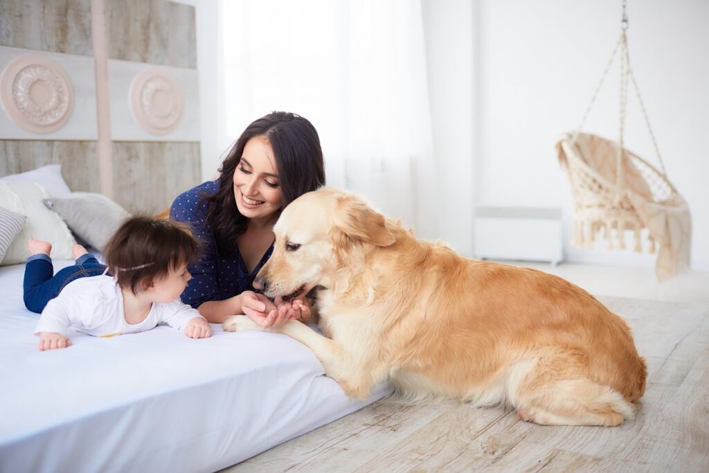 Dog Family