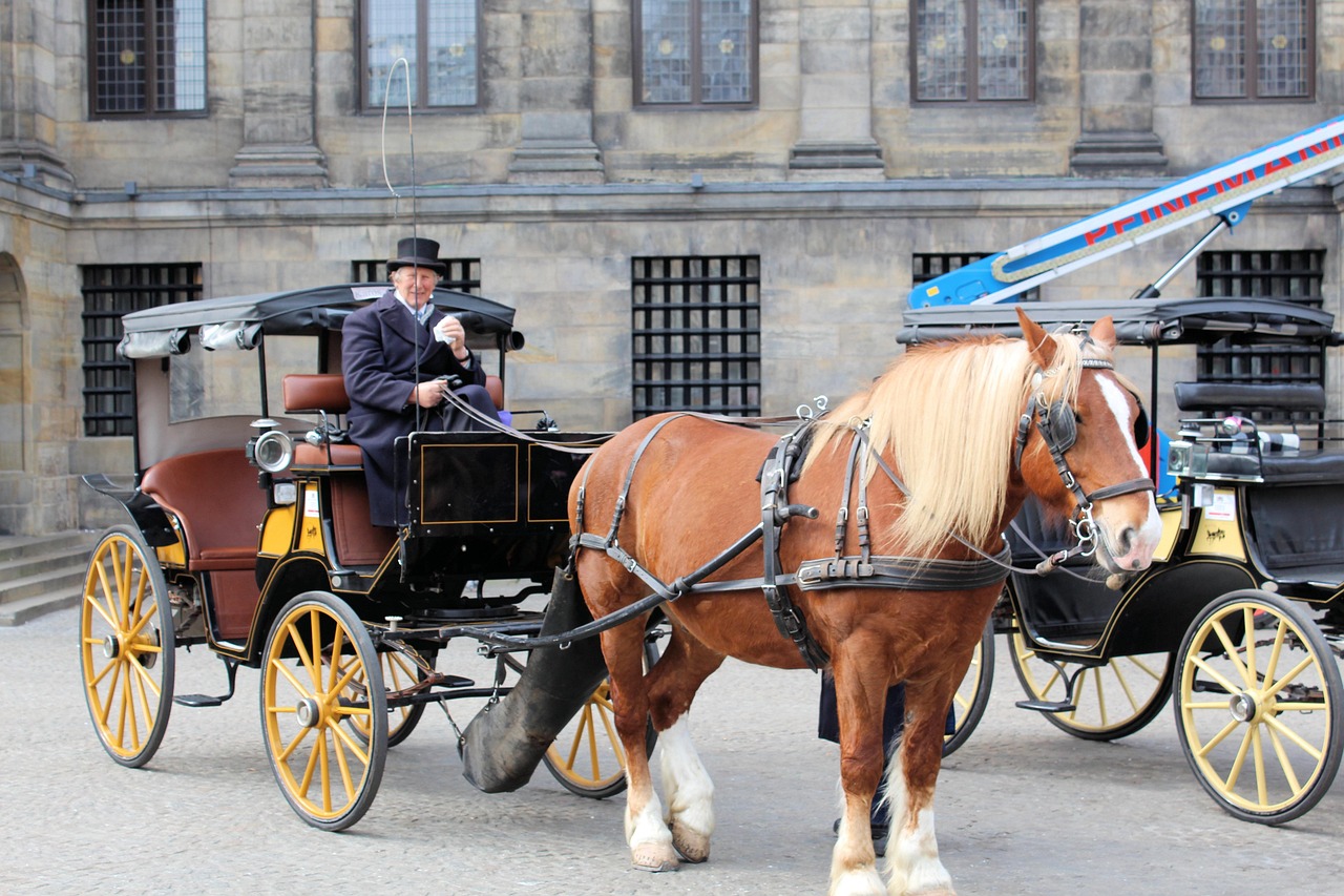 Horse pulling cart