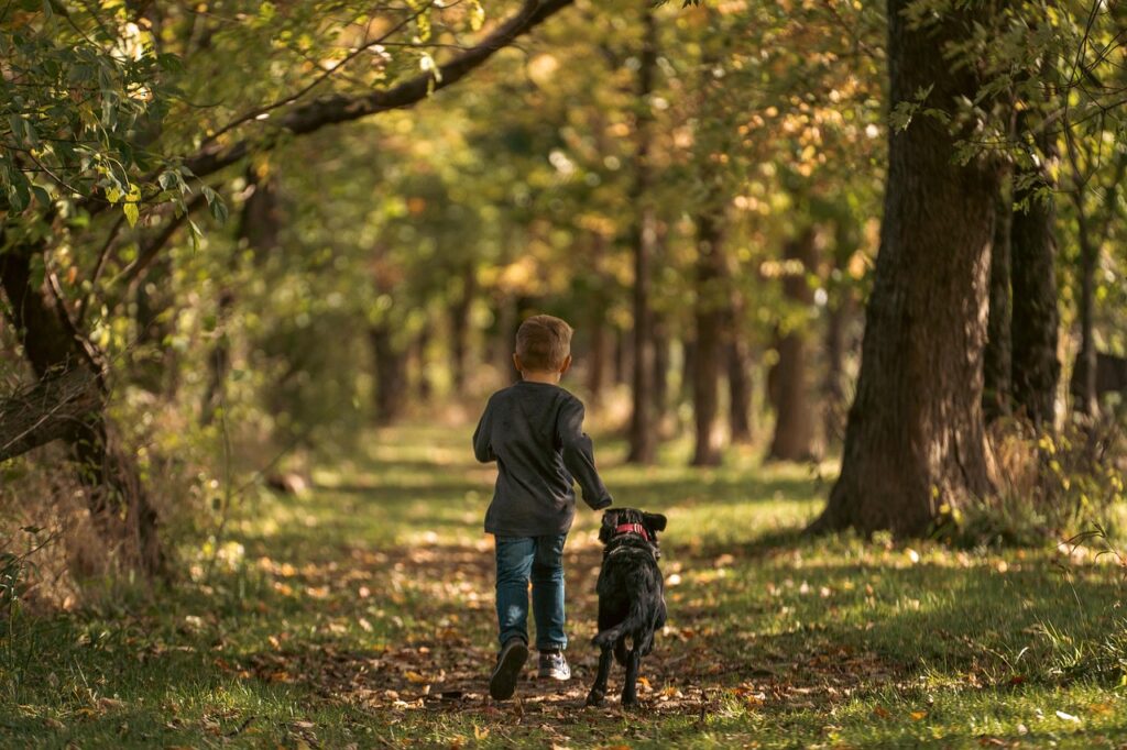 Dog with kid on trail