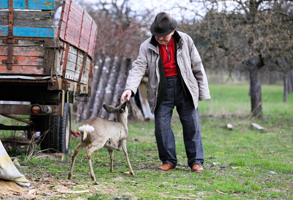 Deer with human