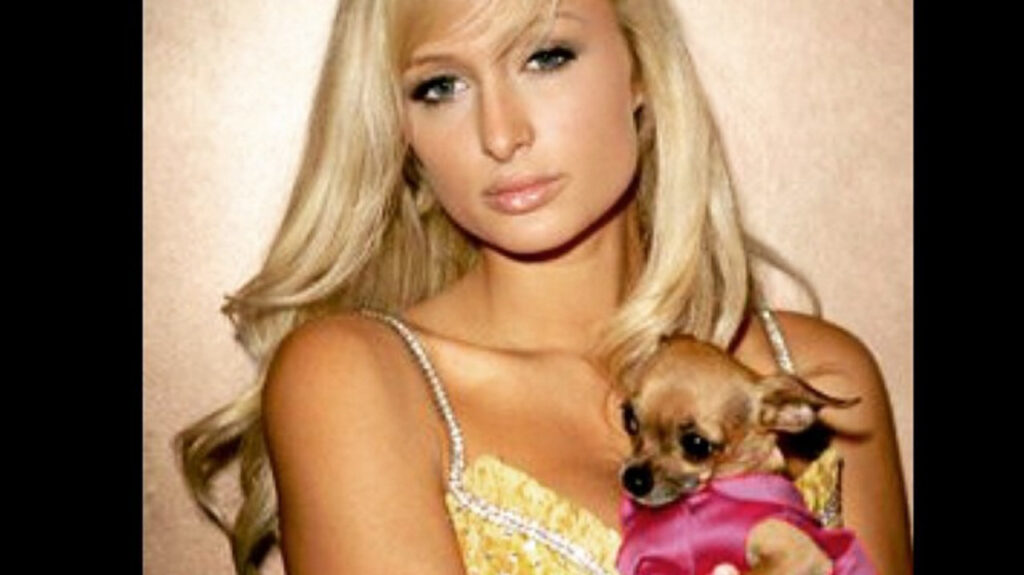 Paris Hilton and her dog