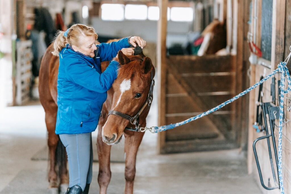 Horse training