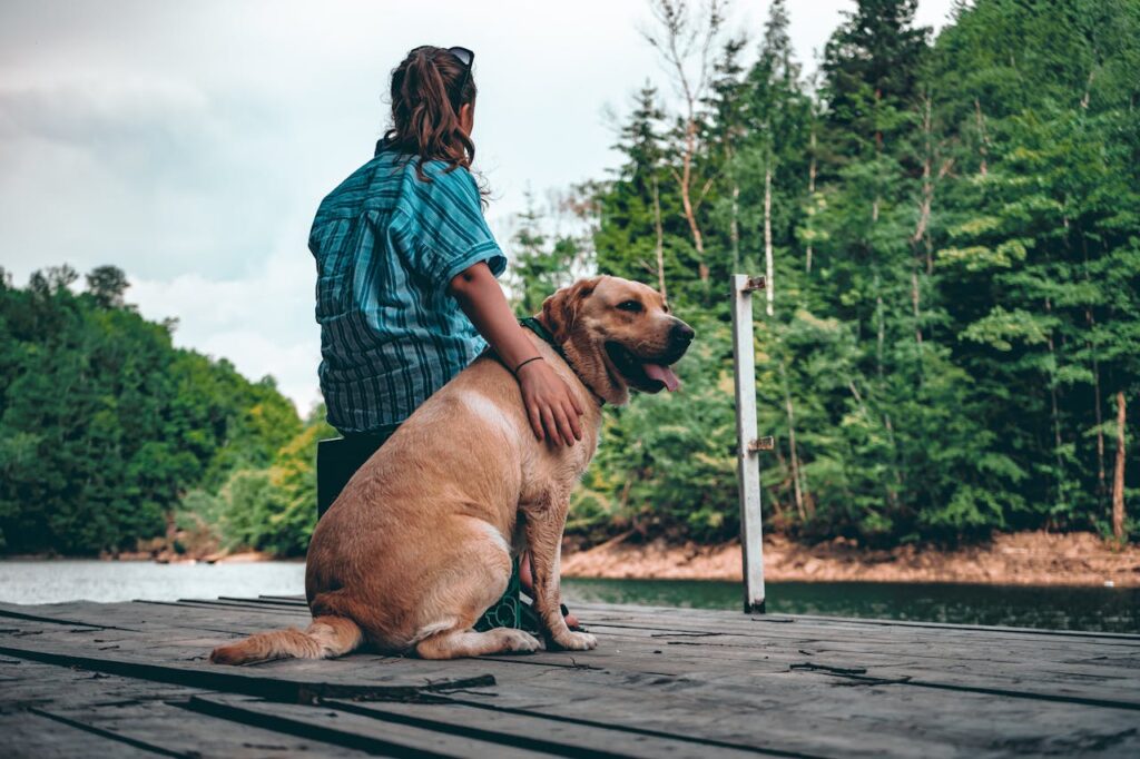 Woman Holding Yellow Labrador Retriever