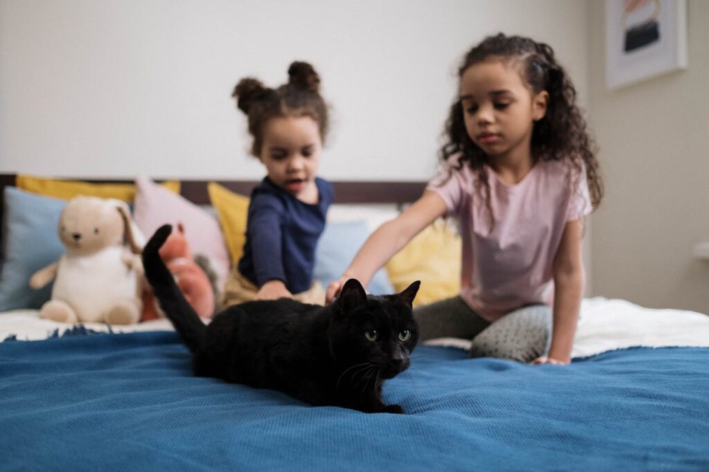 Children playing with cat