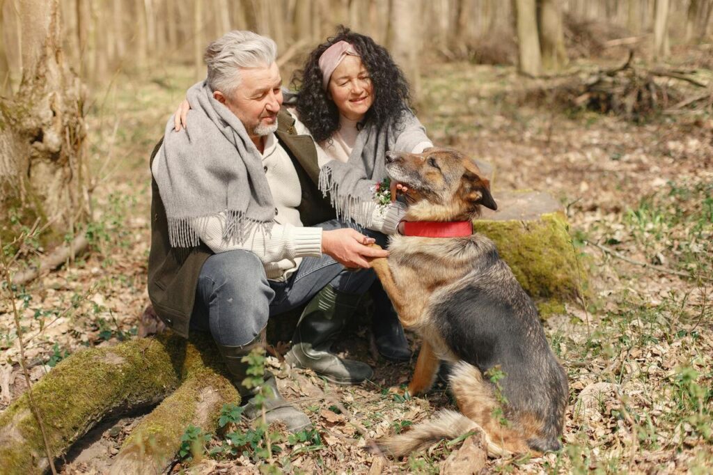 dog with senior
