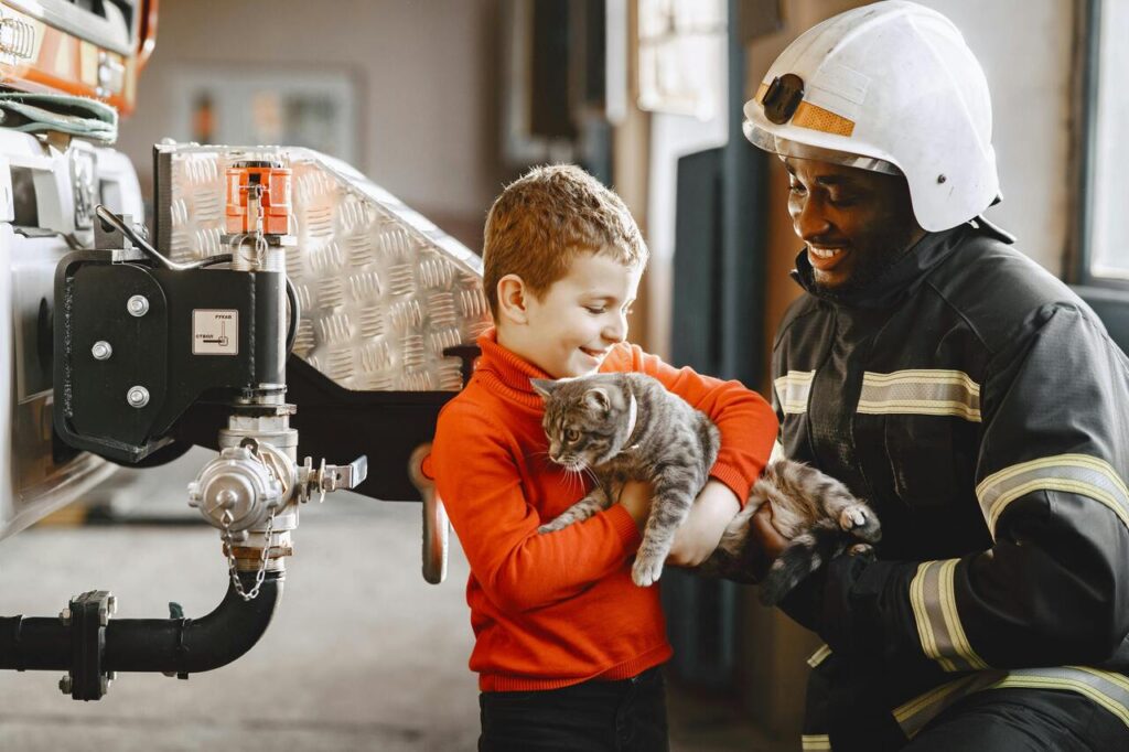 Rescue cat