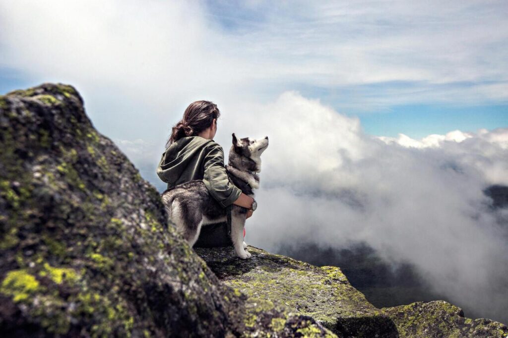 dog and owner in mountain