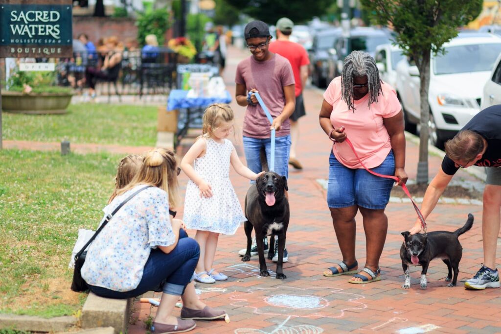 Dog in public
