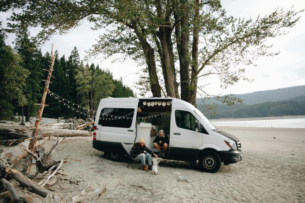 dog in rv