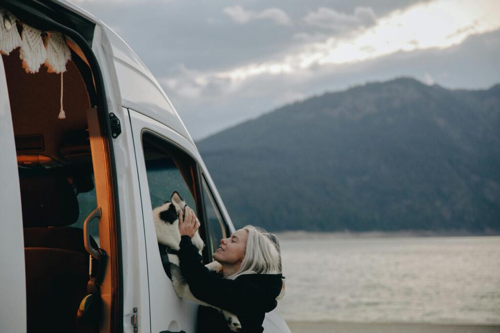 dog in rv