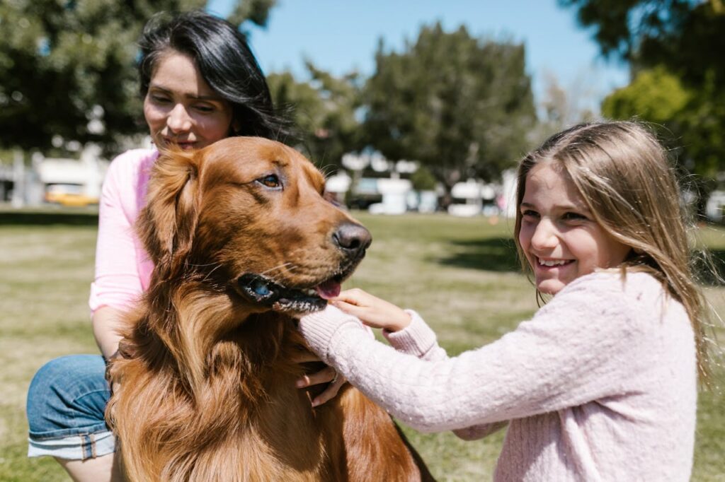 Dog Family