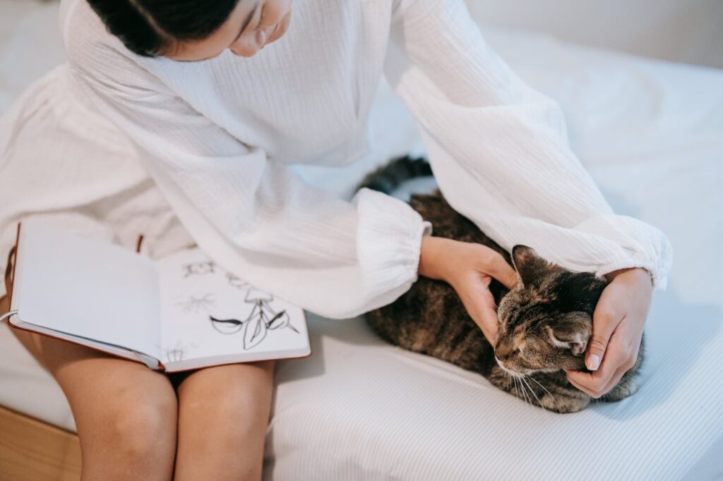 Cat find difficulties in breathing