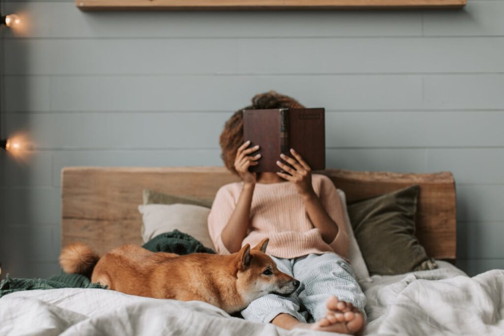 Dog waiting on bed