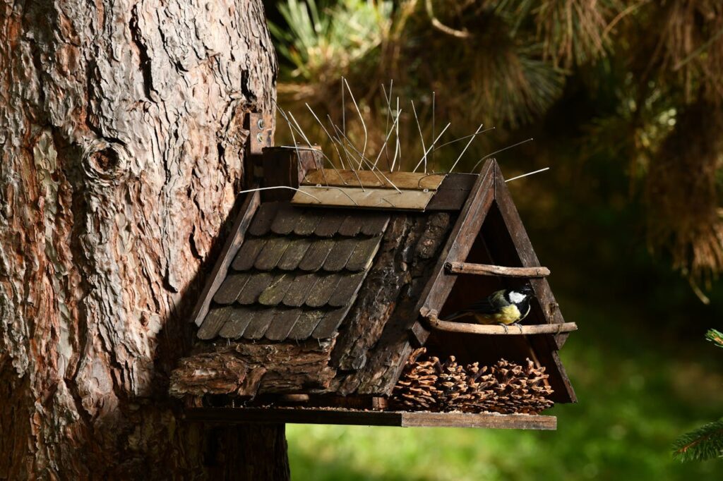Birdhouse