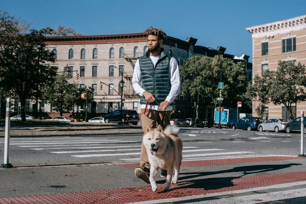 Pet owner walking long road with dog