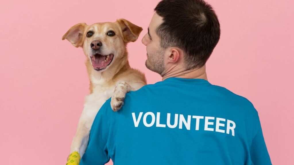 Volunteer working with dogs