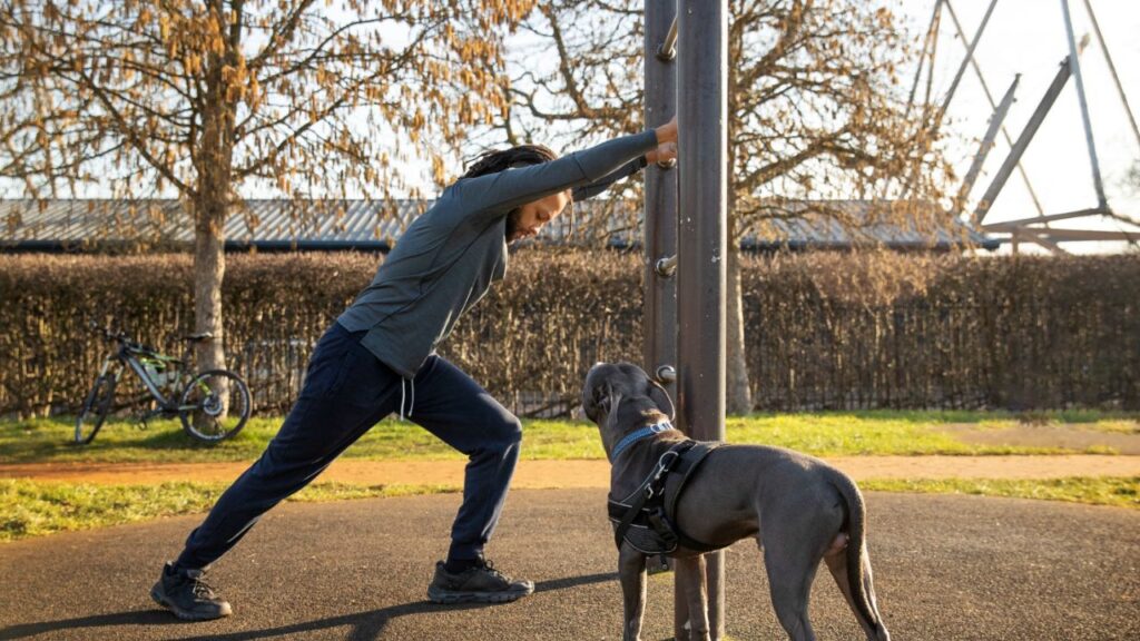 Physical fitness training with dog