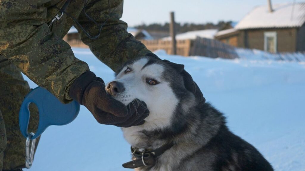 Prepare for Interviews