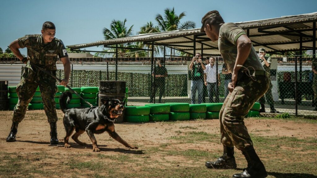 Military dog handler