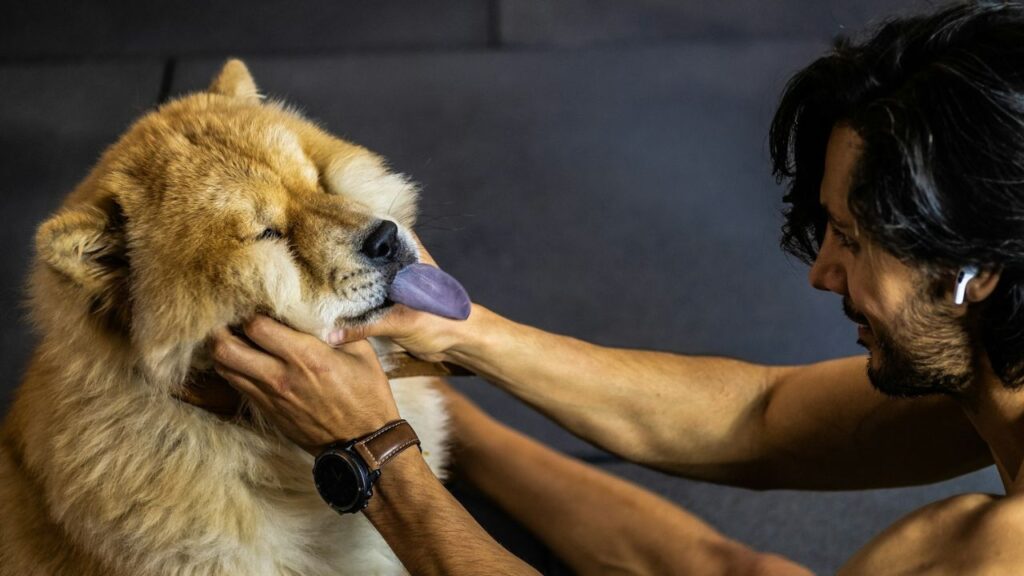 Physical Therapy