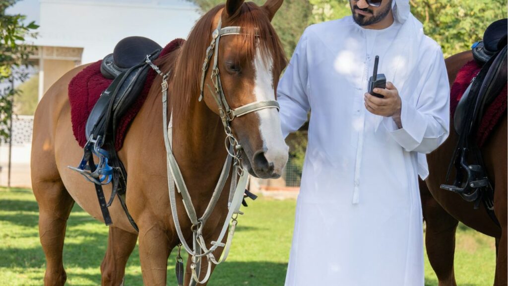 Arabian horse