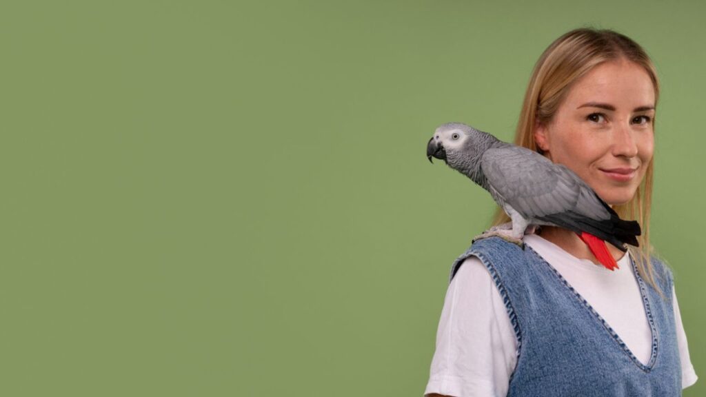 Parrot following owner around
