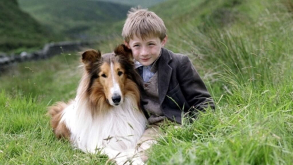 Lassie