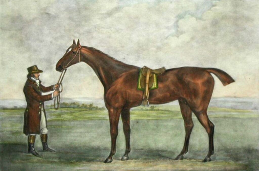 Champion horse