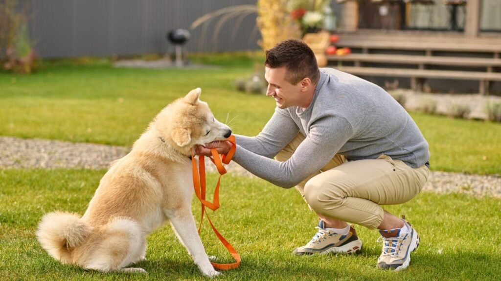 Dog behavior